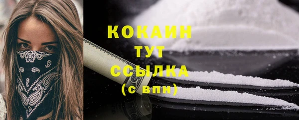 индика Инта