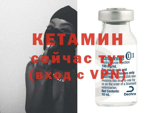 индика Инта