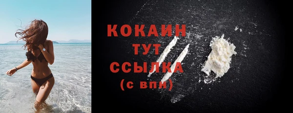 индика Инта