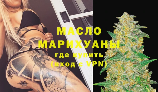 индика Инта