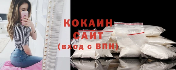 шишки Иннополис