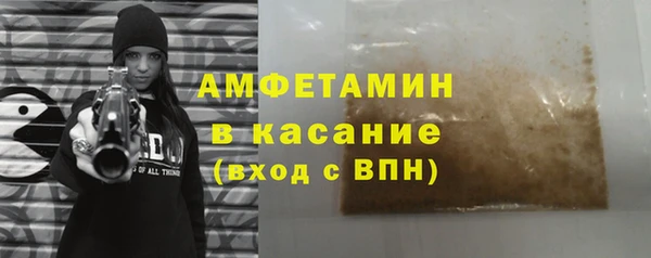 индика Инта