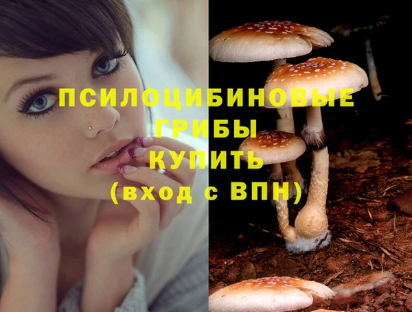 герыч Инсар