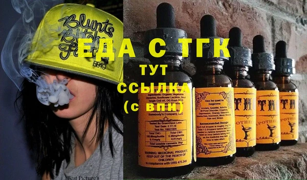 индика Инта
