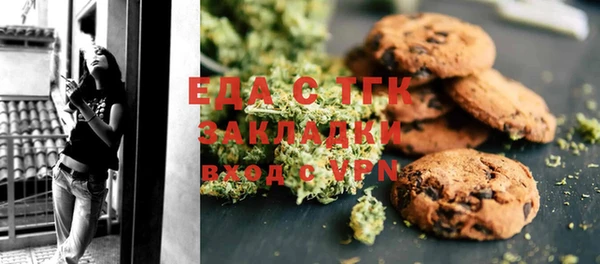 индика Инта