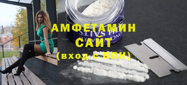 индика Инта