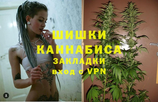 шишки Иннополис