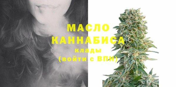индика Инта