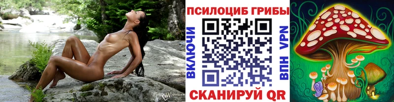Купить закладки  Красноуфимск  Галлюциногенные грибы GOLDEN TEACHER 